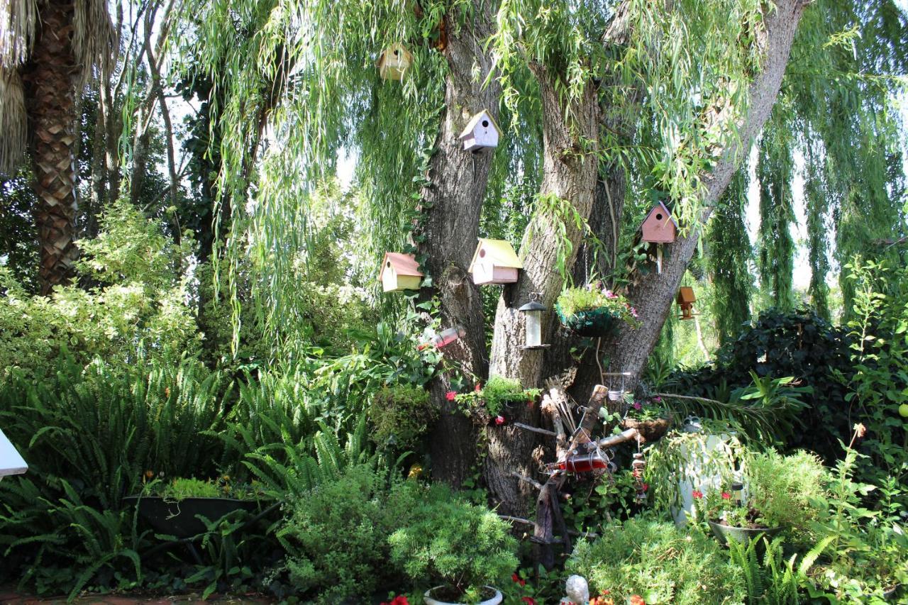 Aquaelberg Place Swellendam Buitenkant foto
